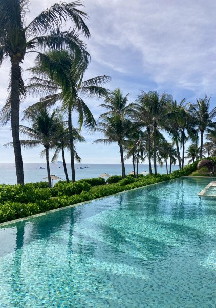 Sophie Piecha background