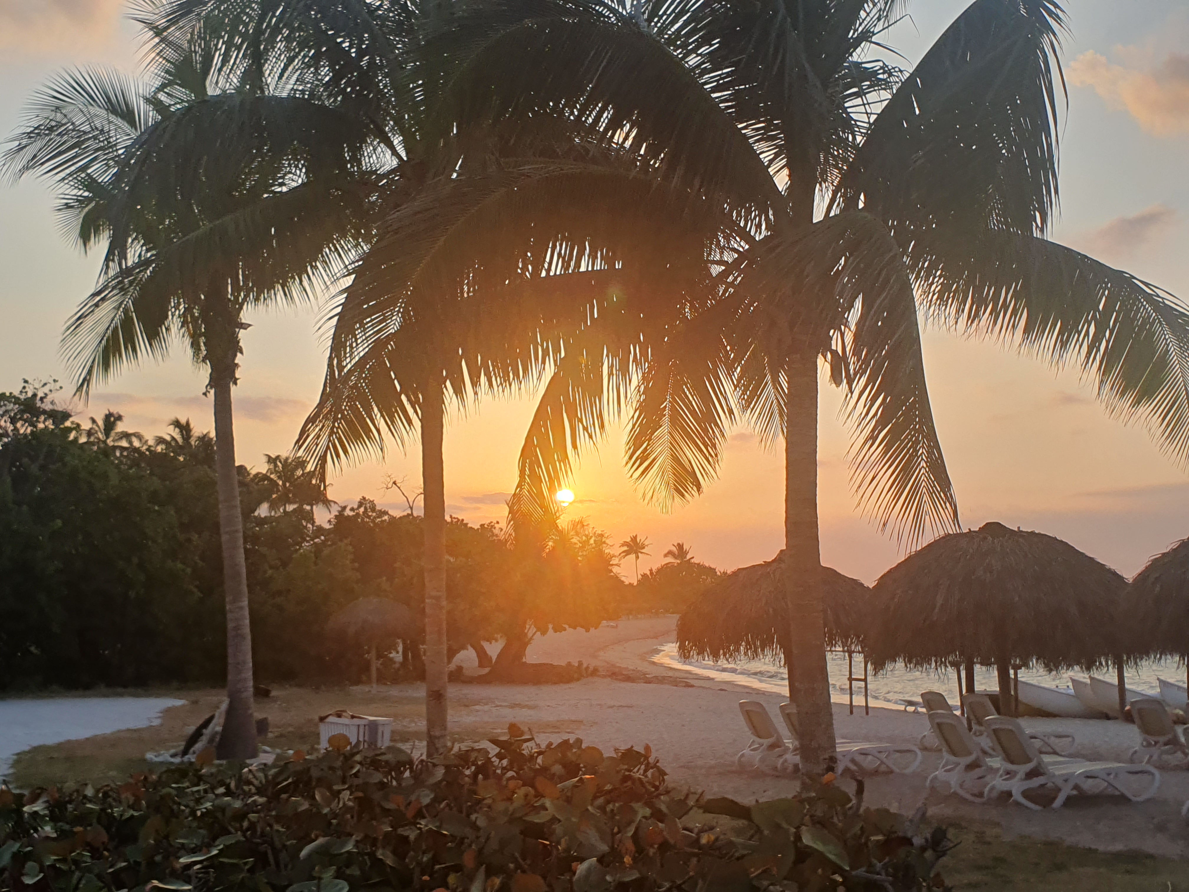 Riesinger background