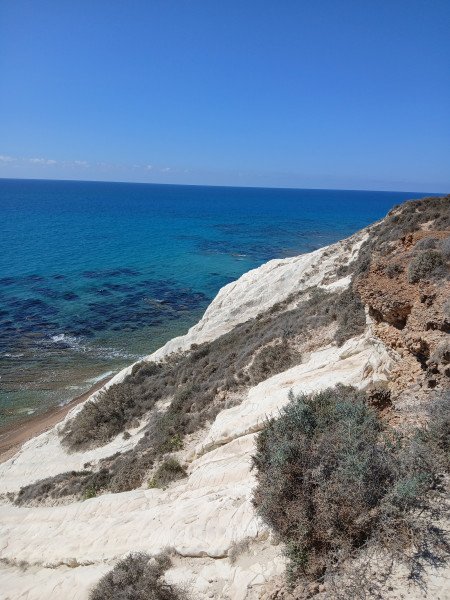 Jens Marschall background