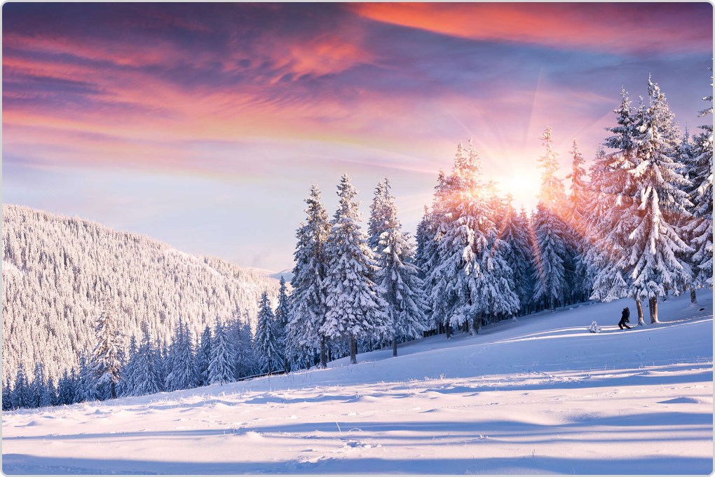 Frischknecht background