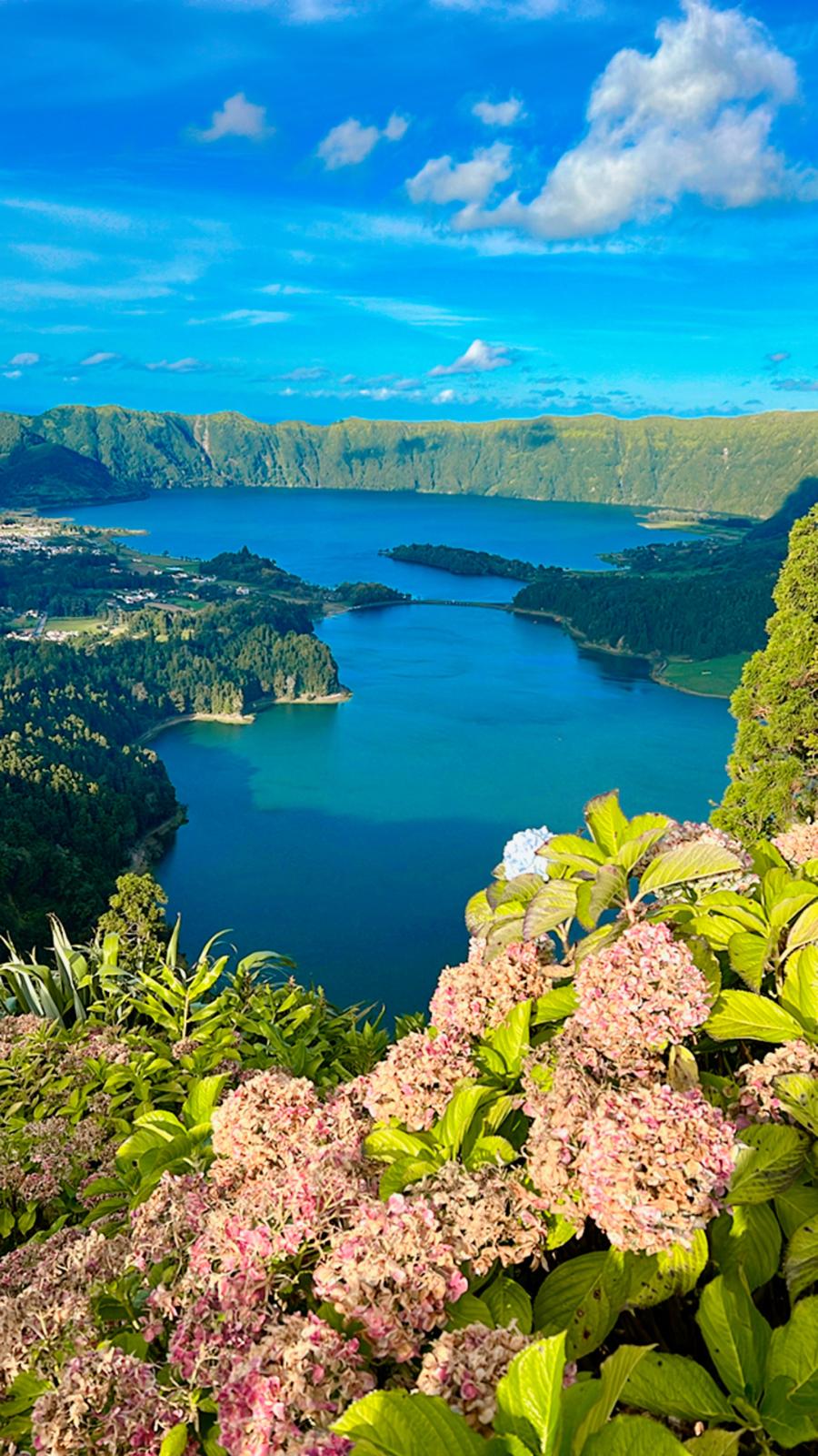 Riechmann background