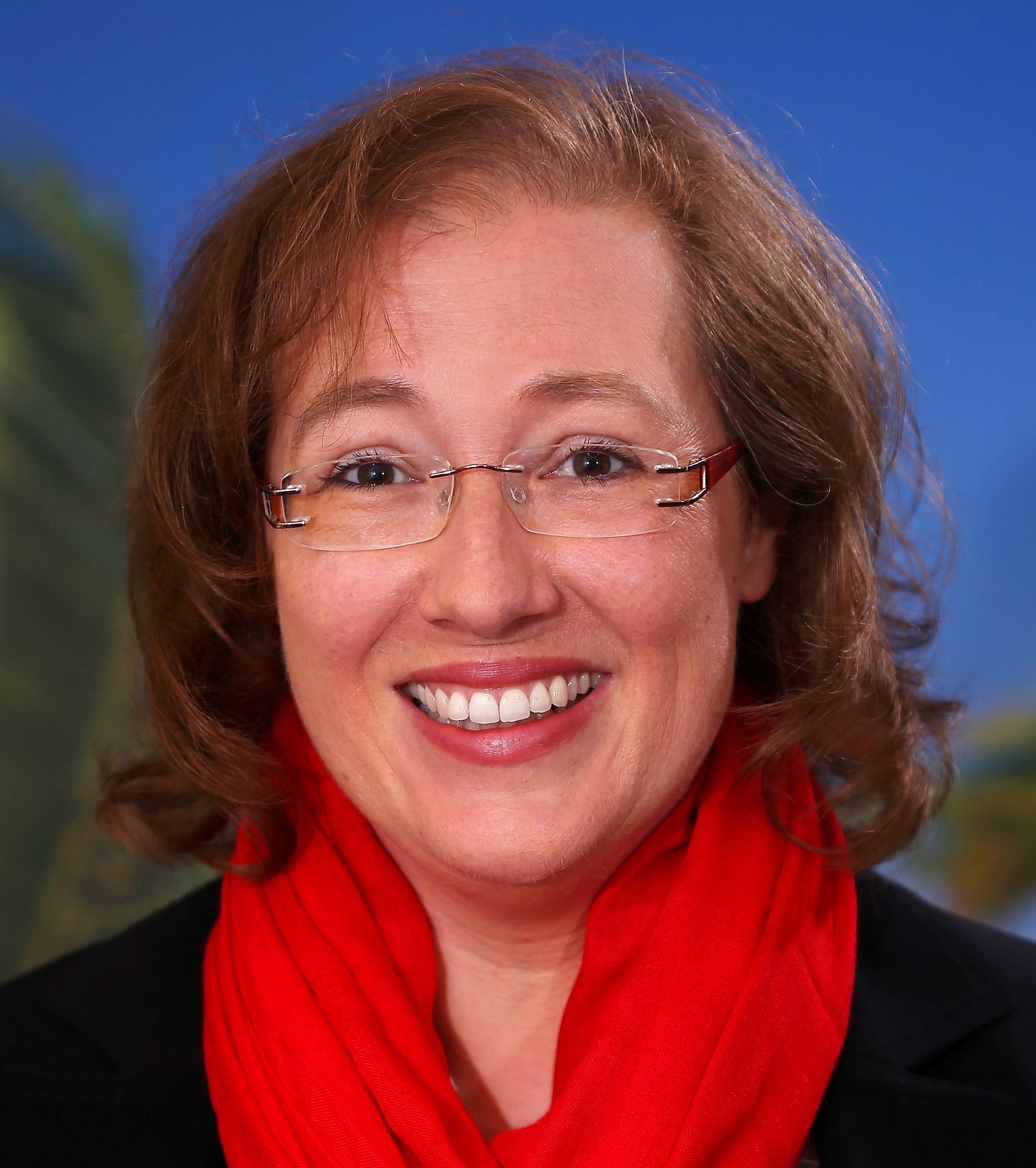 Schmidt