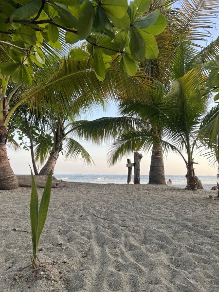 Jennifer Deutsch background