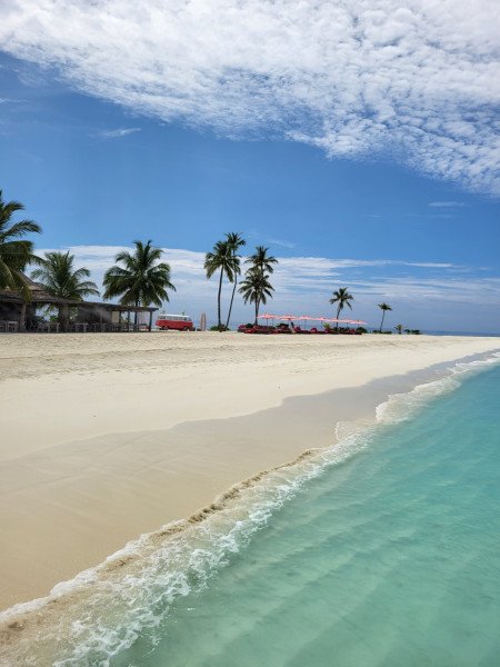 Sabine Meier background