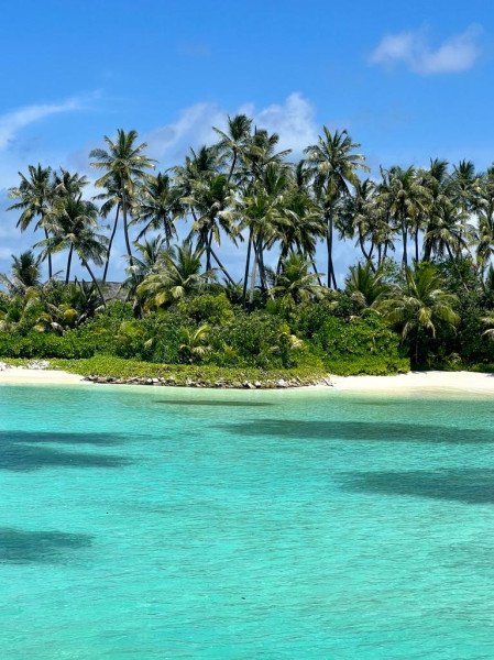 Bettina Storb background