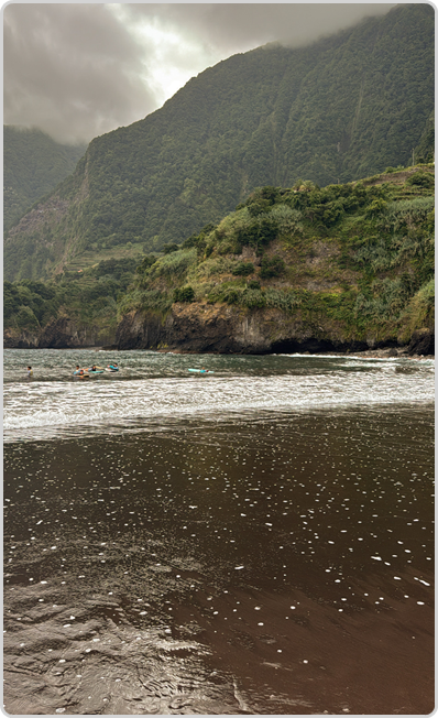 Todeschini background