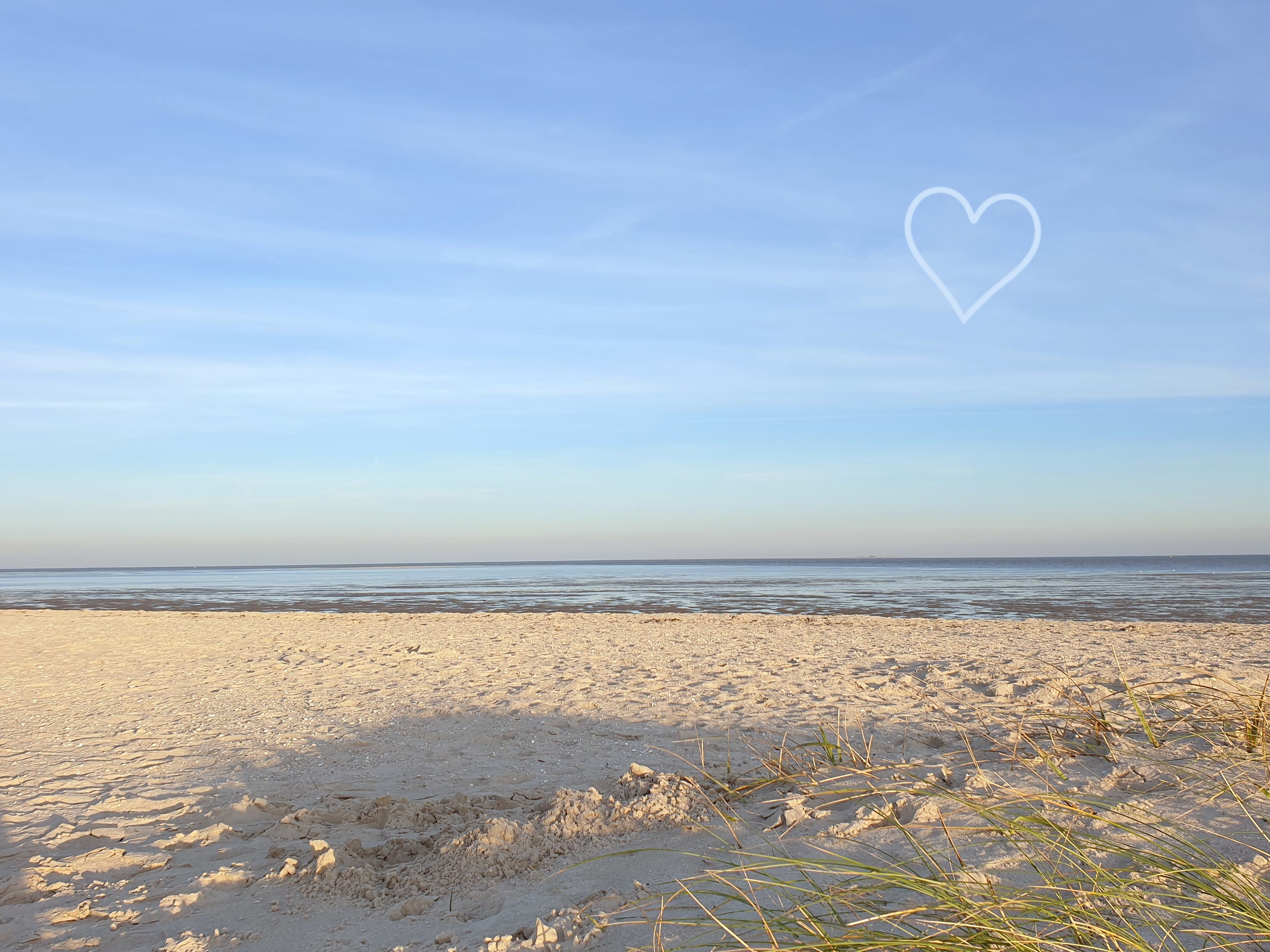 Schneider background