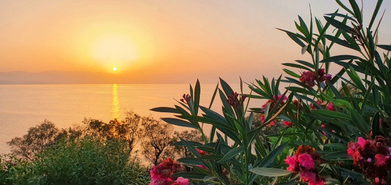 Sabine Goebel background