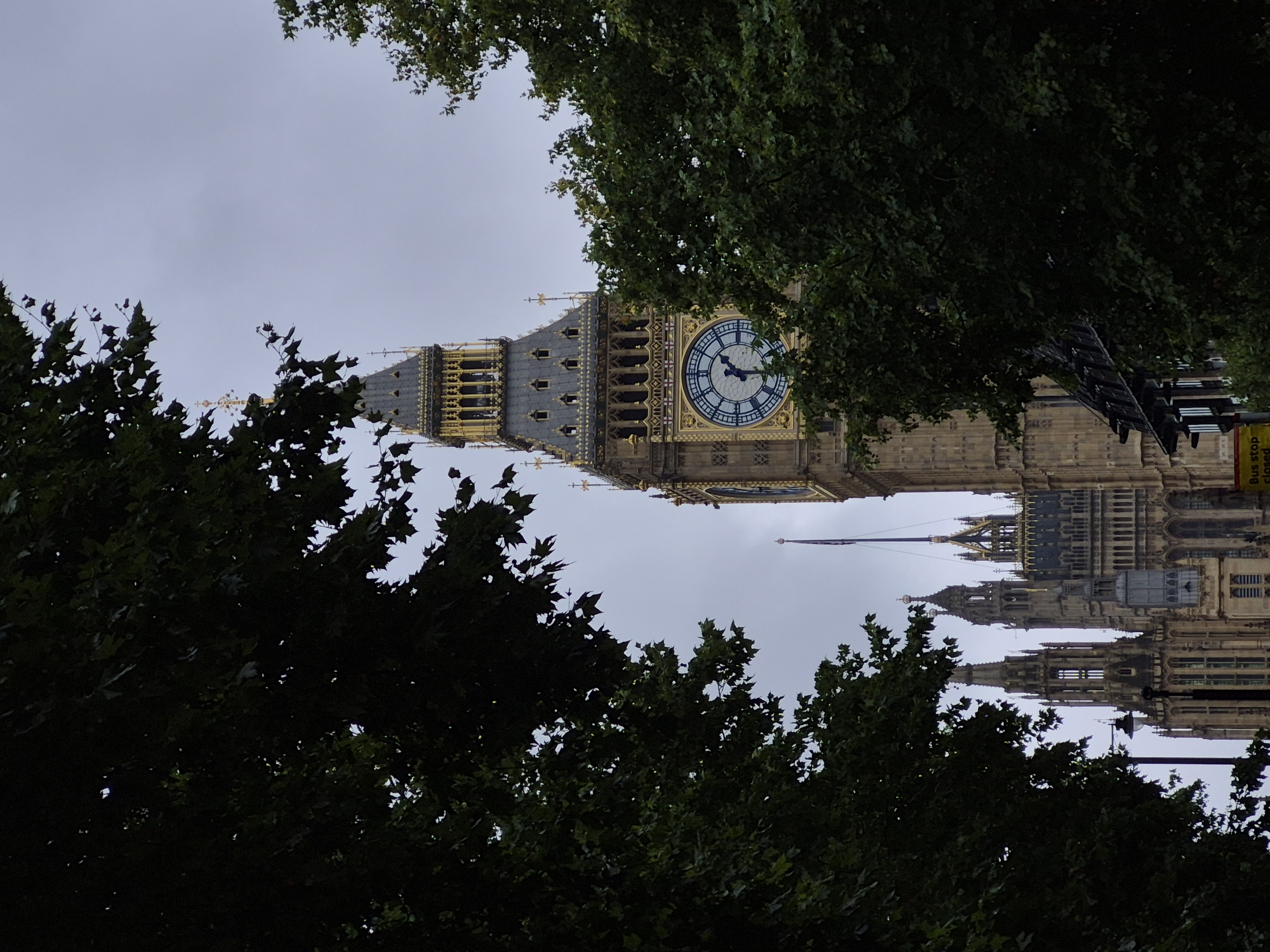 Lindenberg background