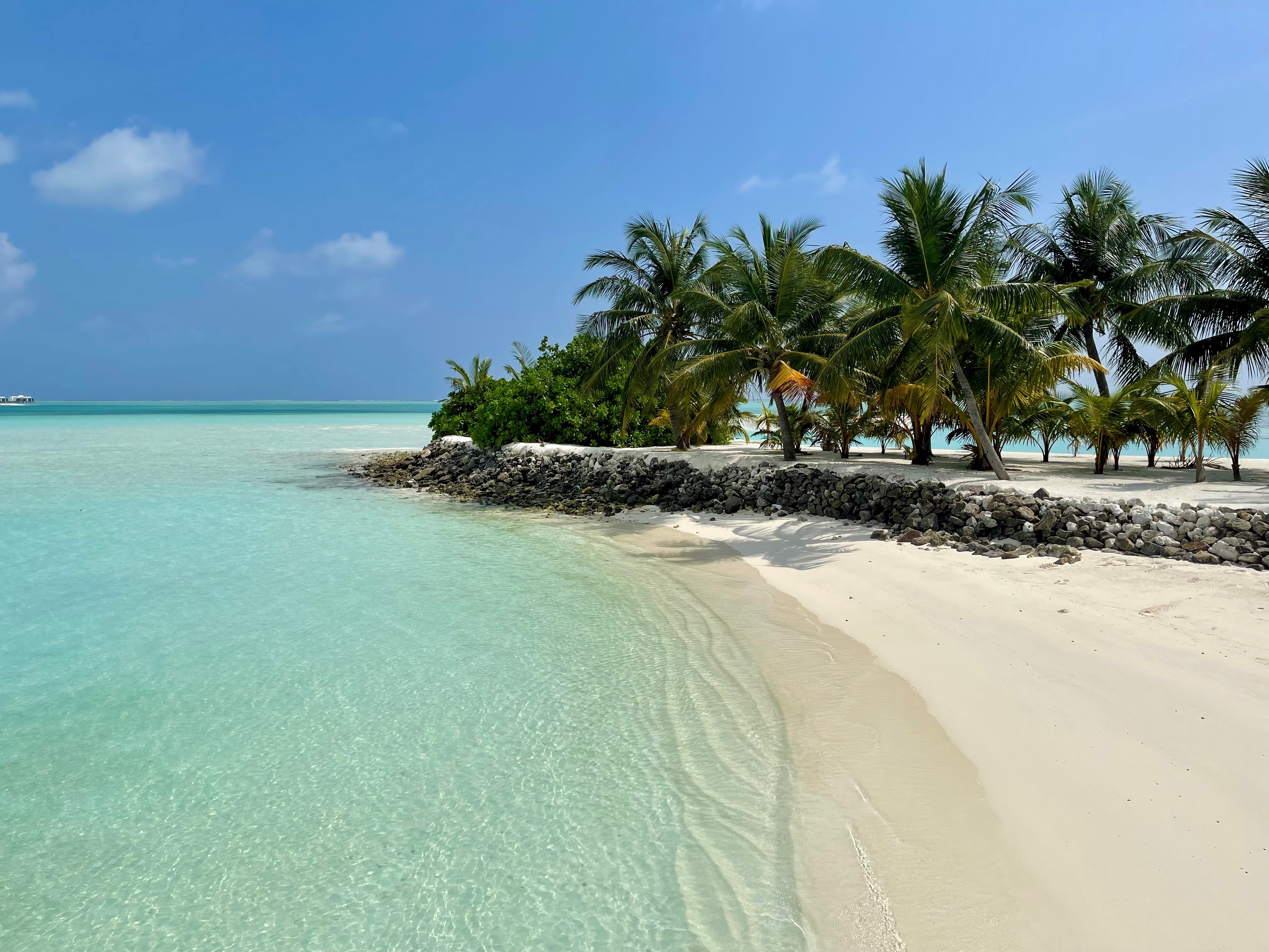 Huthöfer background