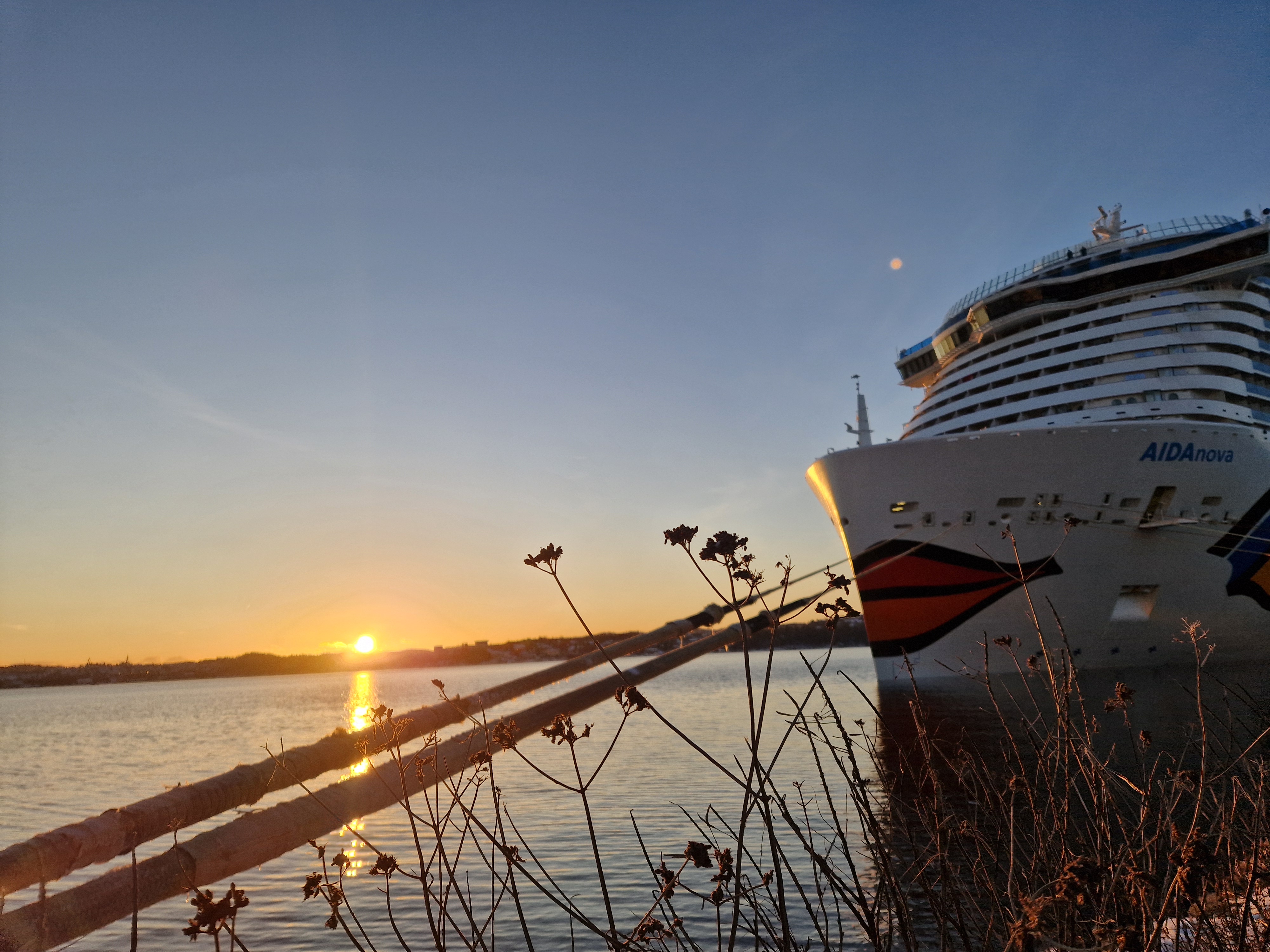 Schönfelder background