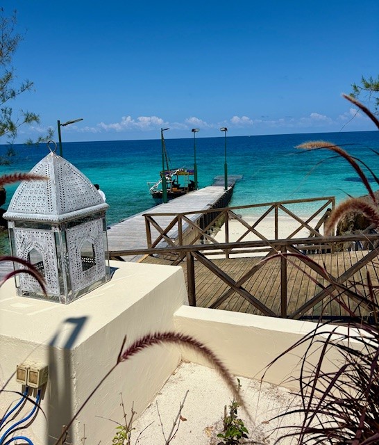 Krippendorf background