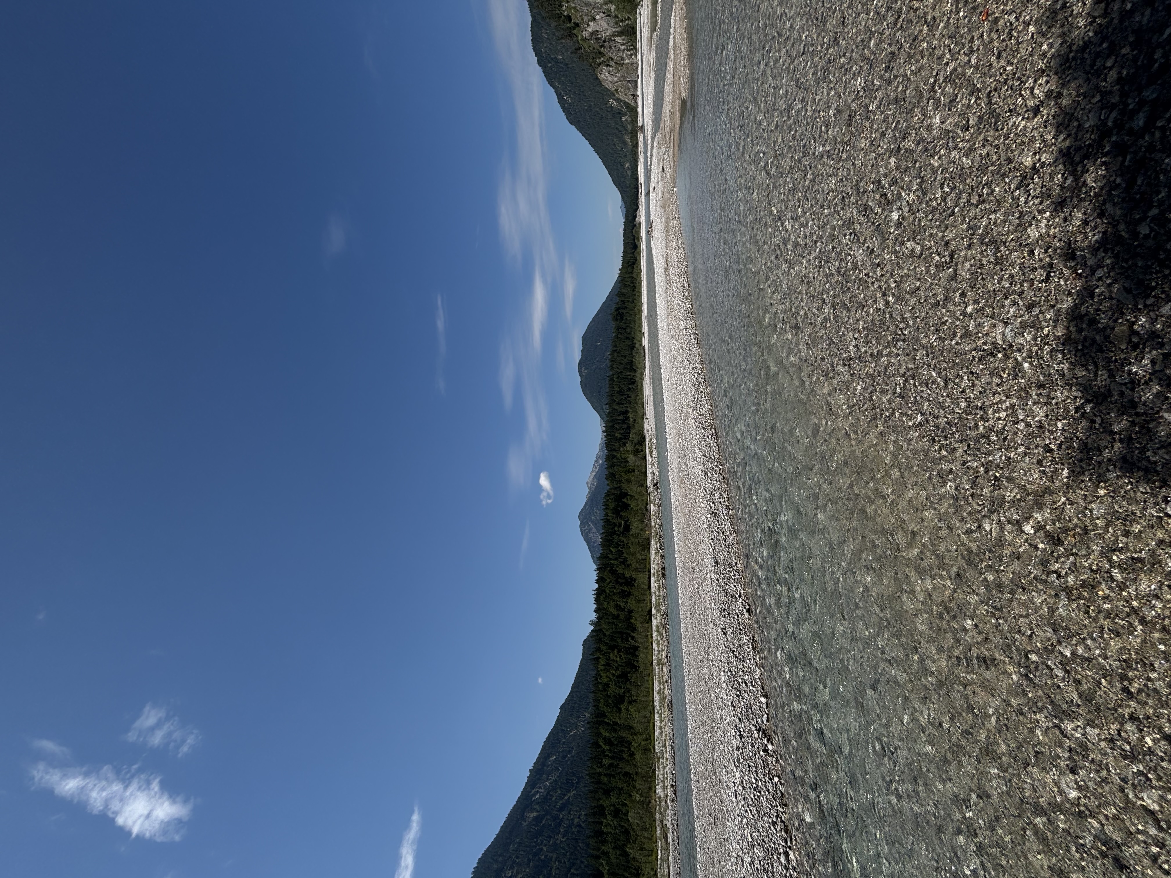 Bräuer background