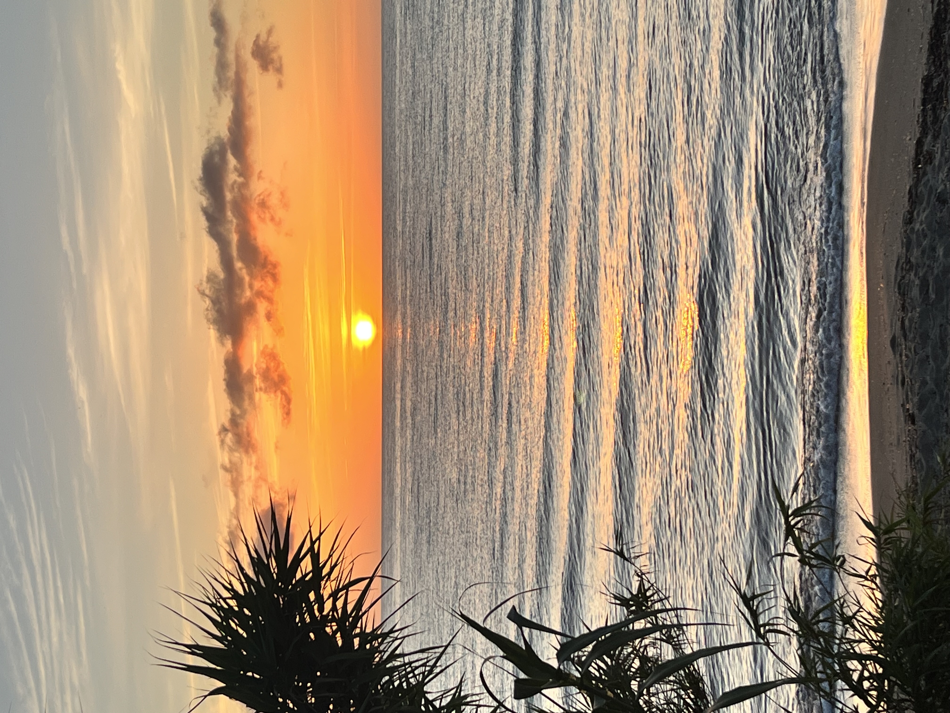 Sczeponek background