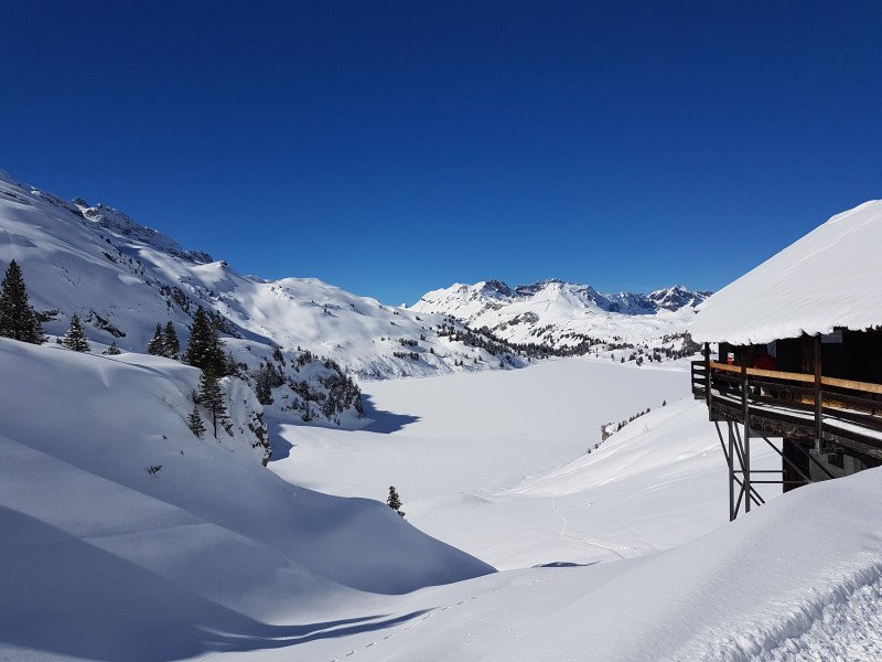 Kornelia Beckel background