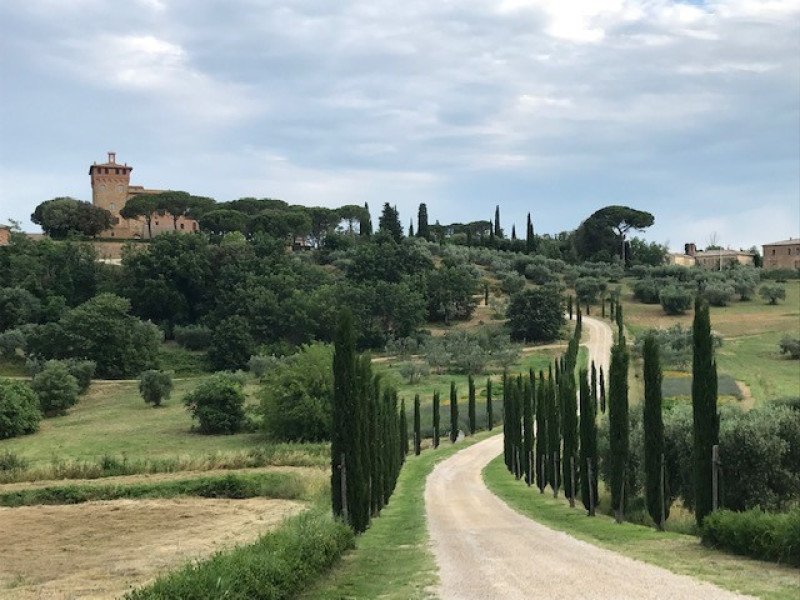 Beatrice M. background