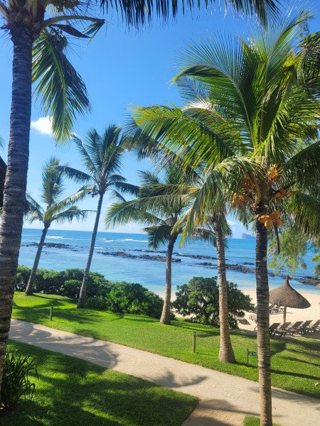 Jacqueline Budig background