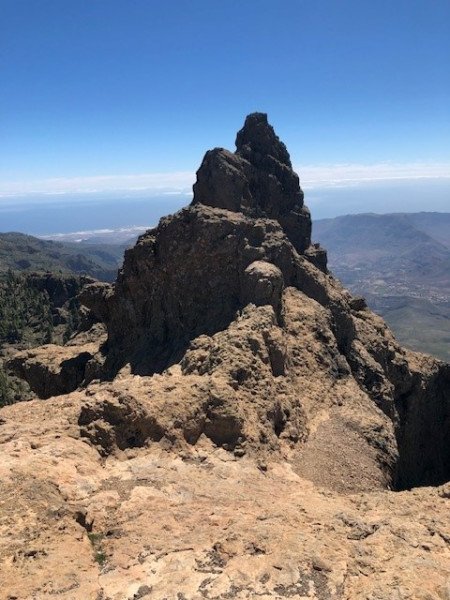 Susanne Ettrich-Just background